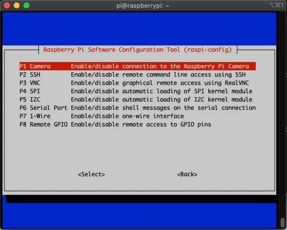 Interface options submenu in raspberry pi configuration